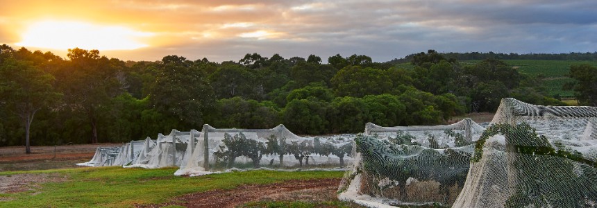 Margaret River Western Australia Wine, LCBO